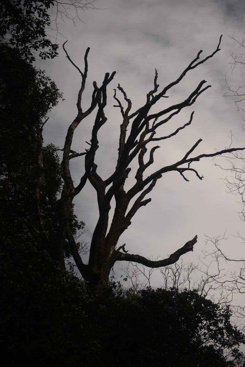 穿越小雷公坪,小雷公实战视频