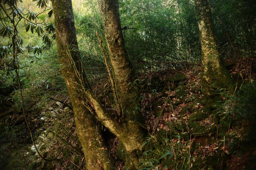 穿越小雷公坪,小雷公实战视频