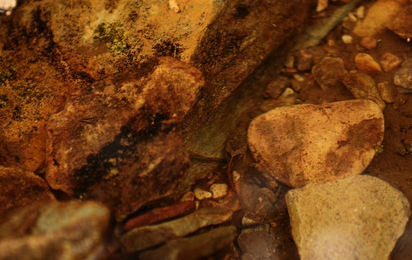 穿越小雷公坪,小雷公实战视频