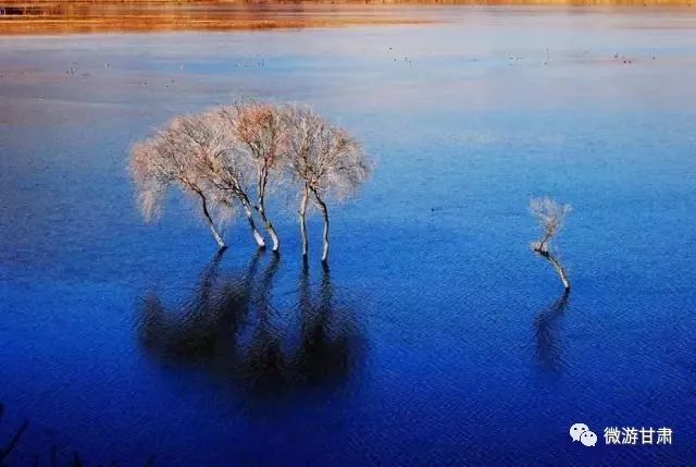 甘肃礼县有秦皇故里吗,礼县秦皇故里在哪里