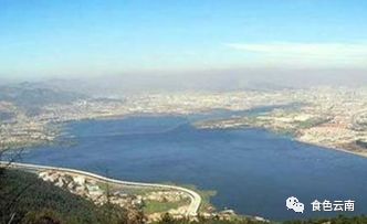 云南淡水鱼类图鉴,云南鱼类有哪些