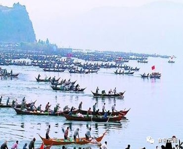 云南淡水鱼类图鉴,云南鱼类有哪些