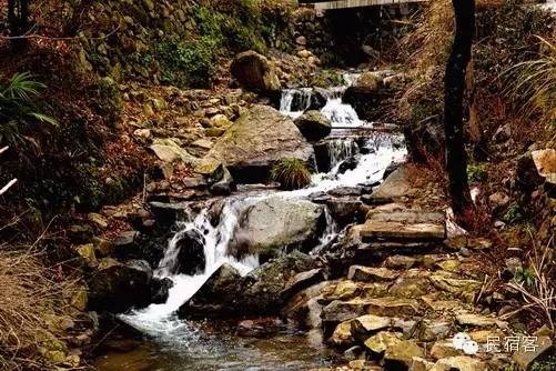 初夏，感受溪水的清凉，就去这几家溪畔民宿