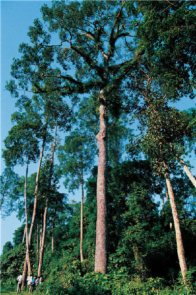 李纪恒：把大盈江和瑞丽江打造成国内外知名旅游目的地