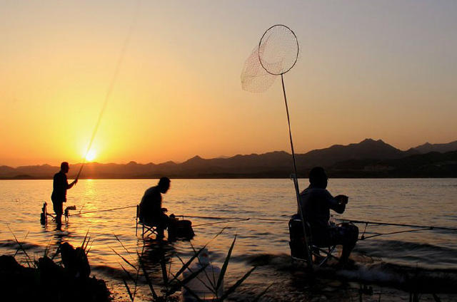 想钓获大黑鱼，赶快get这几个技巧！