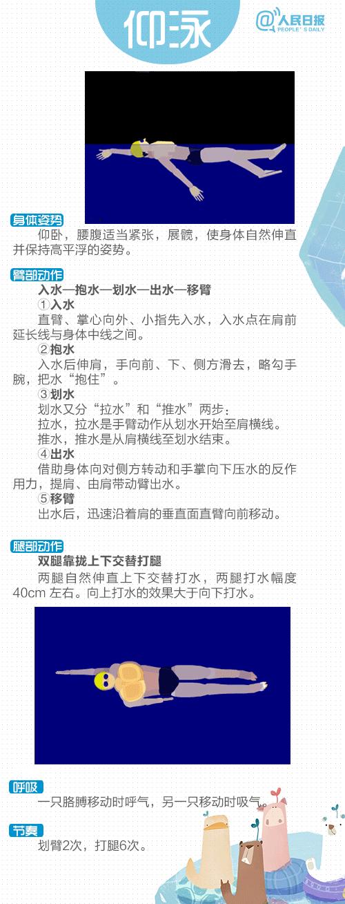 最简单游泳简图,游泳视频教学初学者分步动作讲解