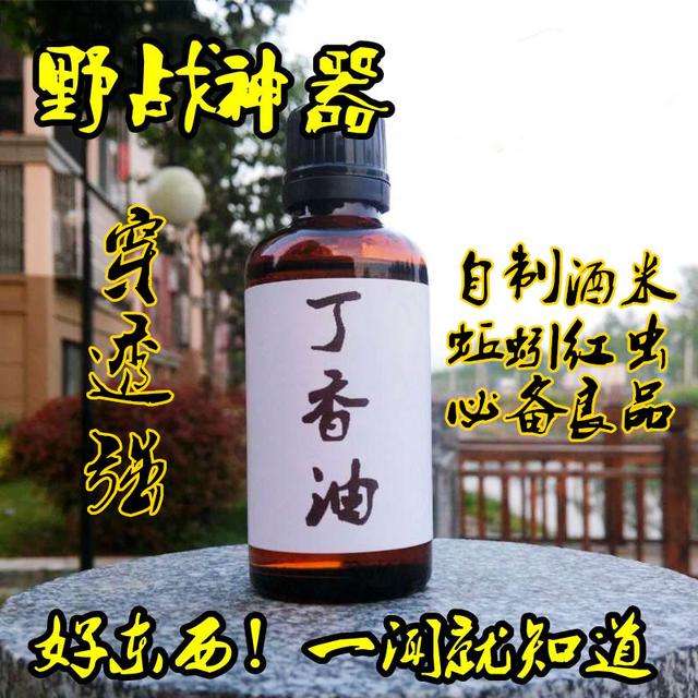 夏季巧钓鲢鳙鱼，让你鱼获更轻松！