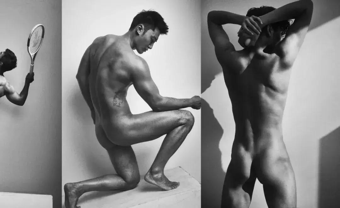 两个黄鹂鸣翠柳一行白鹭来捣乱,两个黄鹂鸣翠柳原版视频