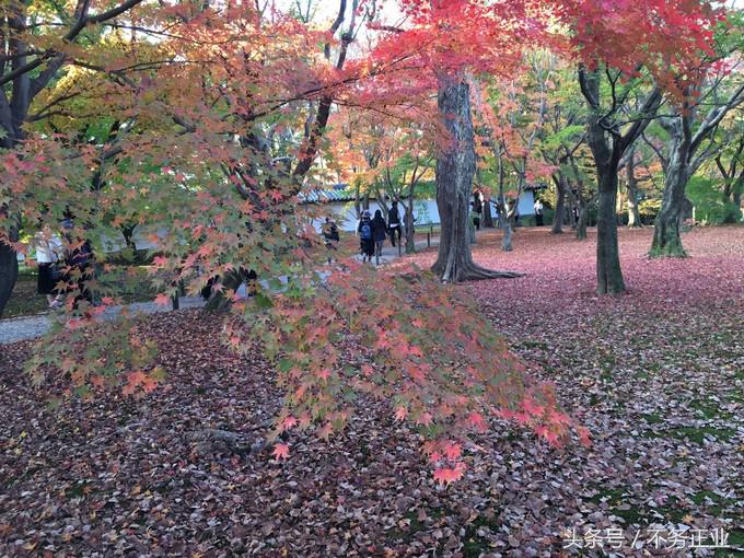 旅行|CoordinateBook06-No.535.0116°N,135.7680°E京都