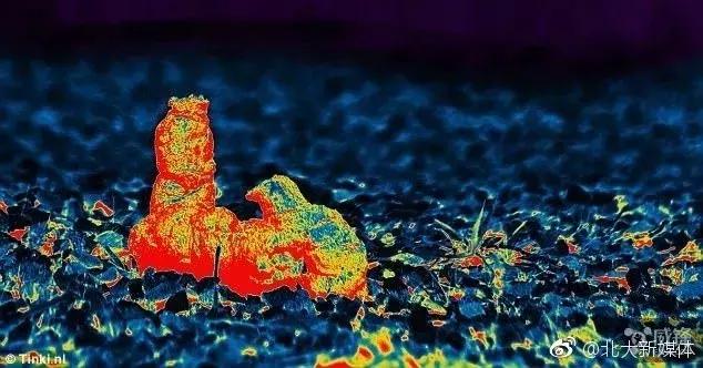 看门狗十大必备事情,看门狗开门锁