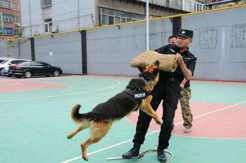 末日生存法则最重要的是什么,末日生存指南小技巧