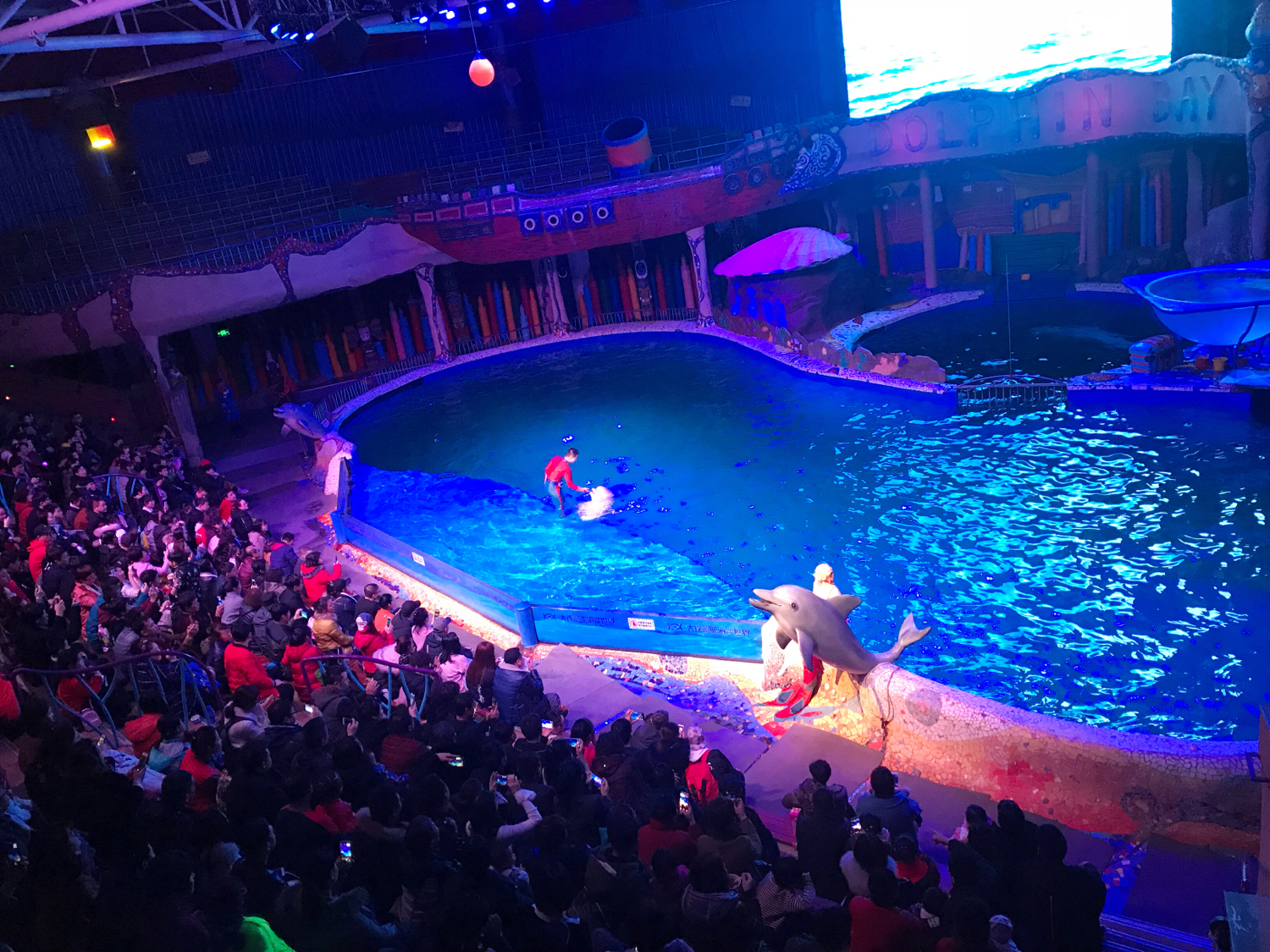 圣亚海洋世界和大连老虎滩哪个好,大连圣亚海洋世界春节门票