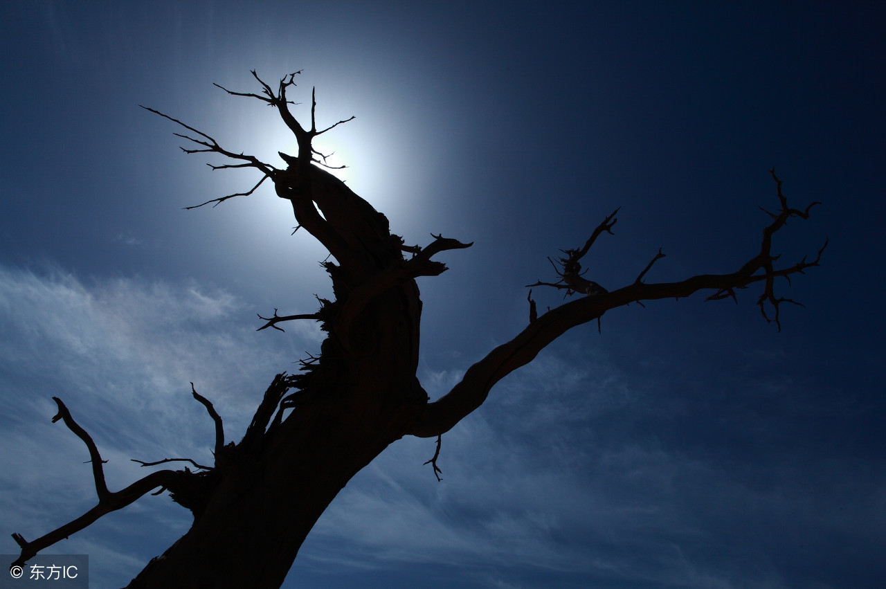 湘西安静修心养性的地方,湘西修身养性