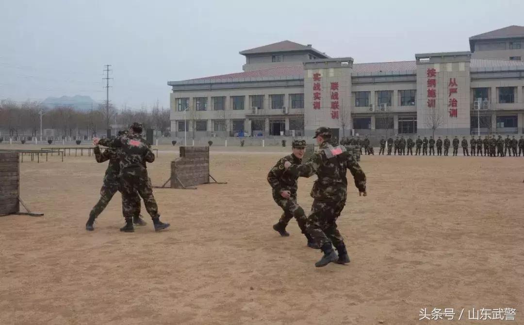 过年“七天最”|“酷炫”活动齐上阵，“年味”“兵味”“战味”哪家浓？