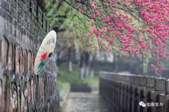 春节临近我为什么不想回家,春节假期返程为什么都不走国道