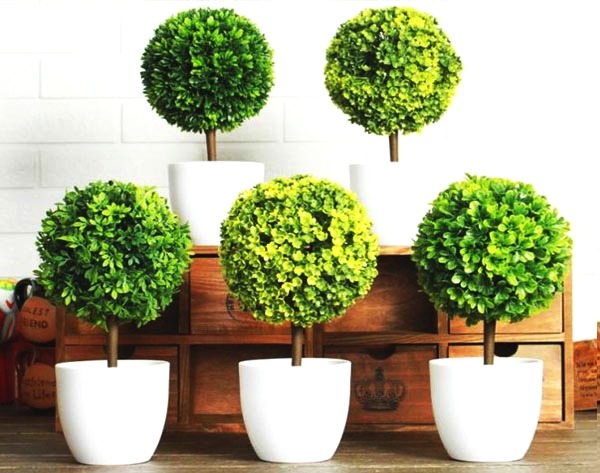 搬新家后宝宝咳嗽,搬新家后孩子老是咳嗽感冒发烧