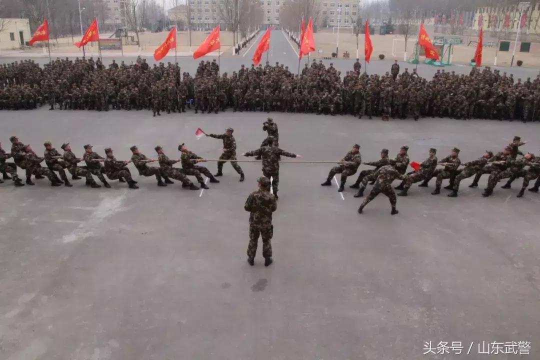 过年“七天最”|“酷炫”活动齐上阵，“年味”“兵味”“战味”哪家浓？