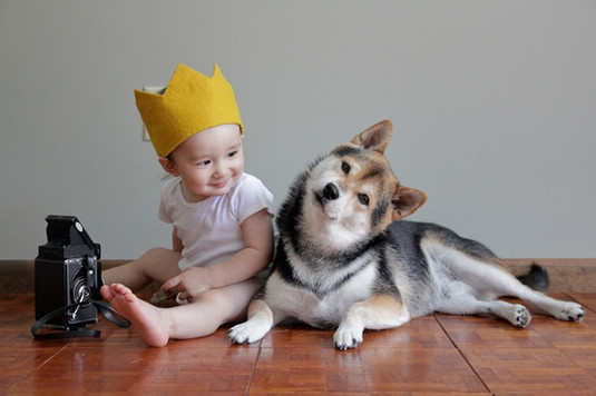 怎么怀胎的几率大,怎样怀好孕