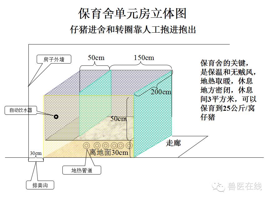 猪场刮粪机排粪沟设计图,100头母猪猪场设计图