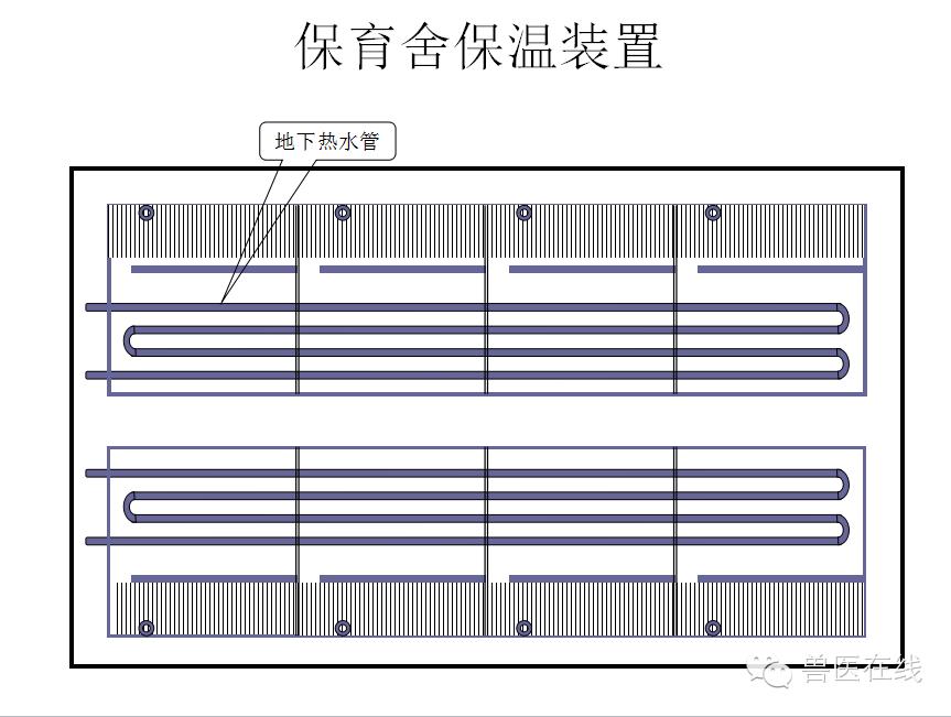 猪场刮粪机排粪沟设计图,100头母猪猪场设计图