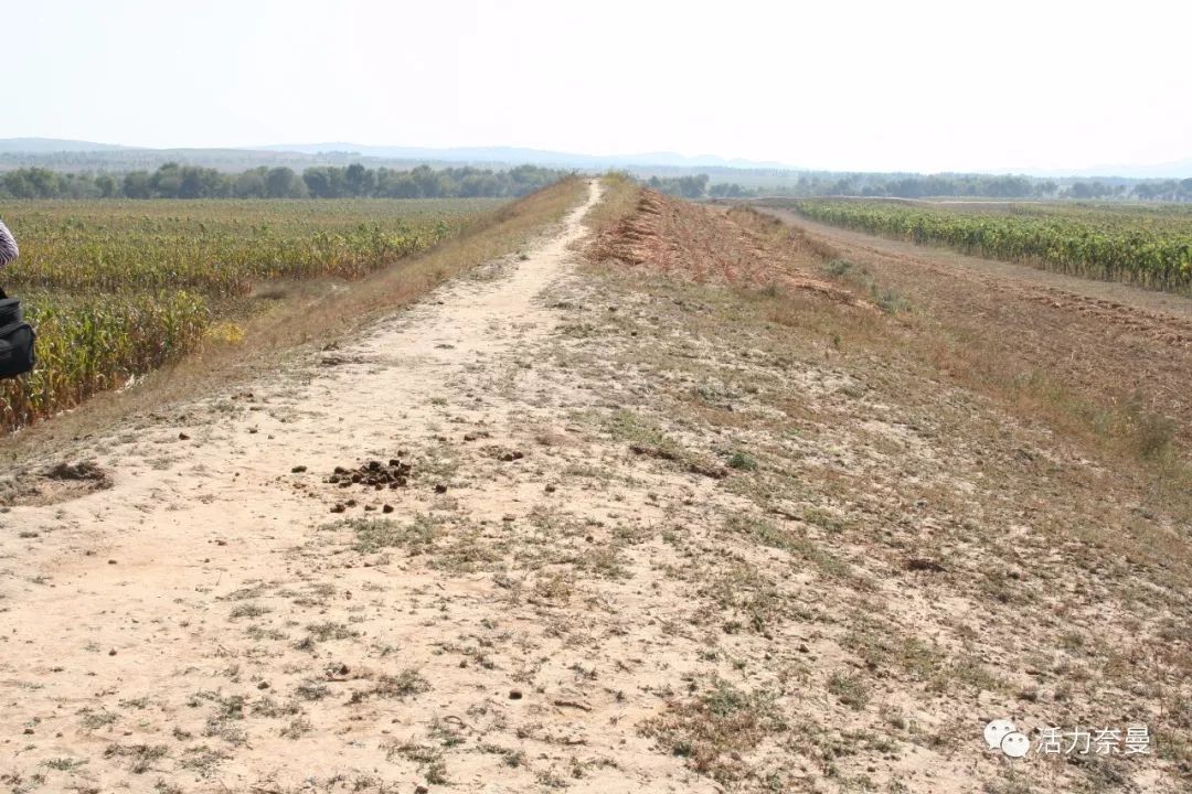 45万人的名片，太漂亮了！！《奈曼人的名片》最新版，45万次！！！精工打造！！！