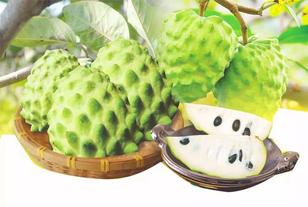 释迦果怎么吃的,释迦果你收到了吗