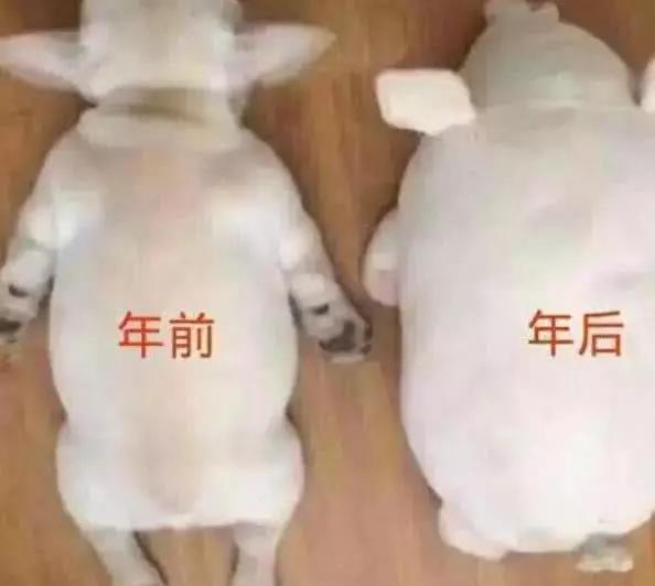 搞笑君靖靖的日常：把润滑剂当做502胶水用会发生什么？笑死人