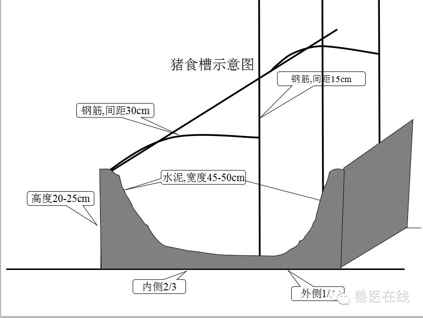 猪场刮粪机排粪沟设计图,100头母猪猪场设计图