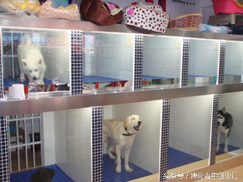 目前最适合投资的小本创业项目,小本致富100个项目