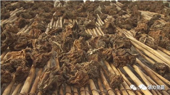 45万人的名片，太漂亮了！！《奈曼人的名片》最新版，45万次！！！精工打造！！！