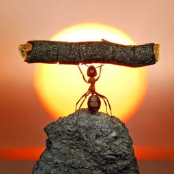 股权投资基金尽调流程,股权投资基本运作详解