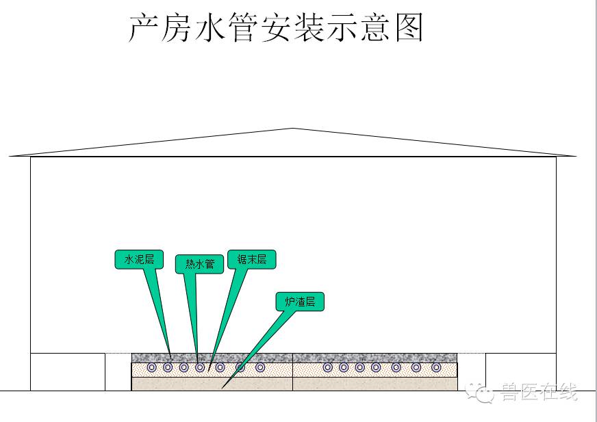 猪场刮粪机排粪沟设计图,100头母猪猪场设计图