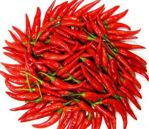 生活小妙招切辣椒小窍门,生活小妙招切辣椒辣到手怎么办