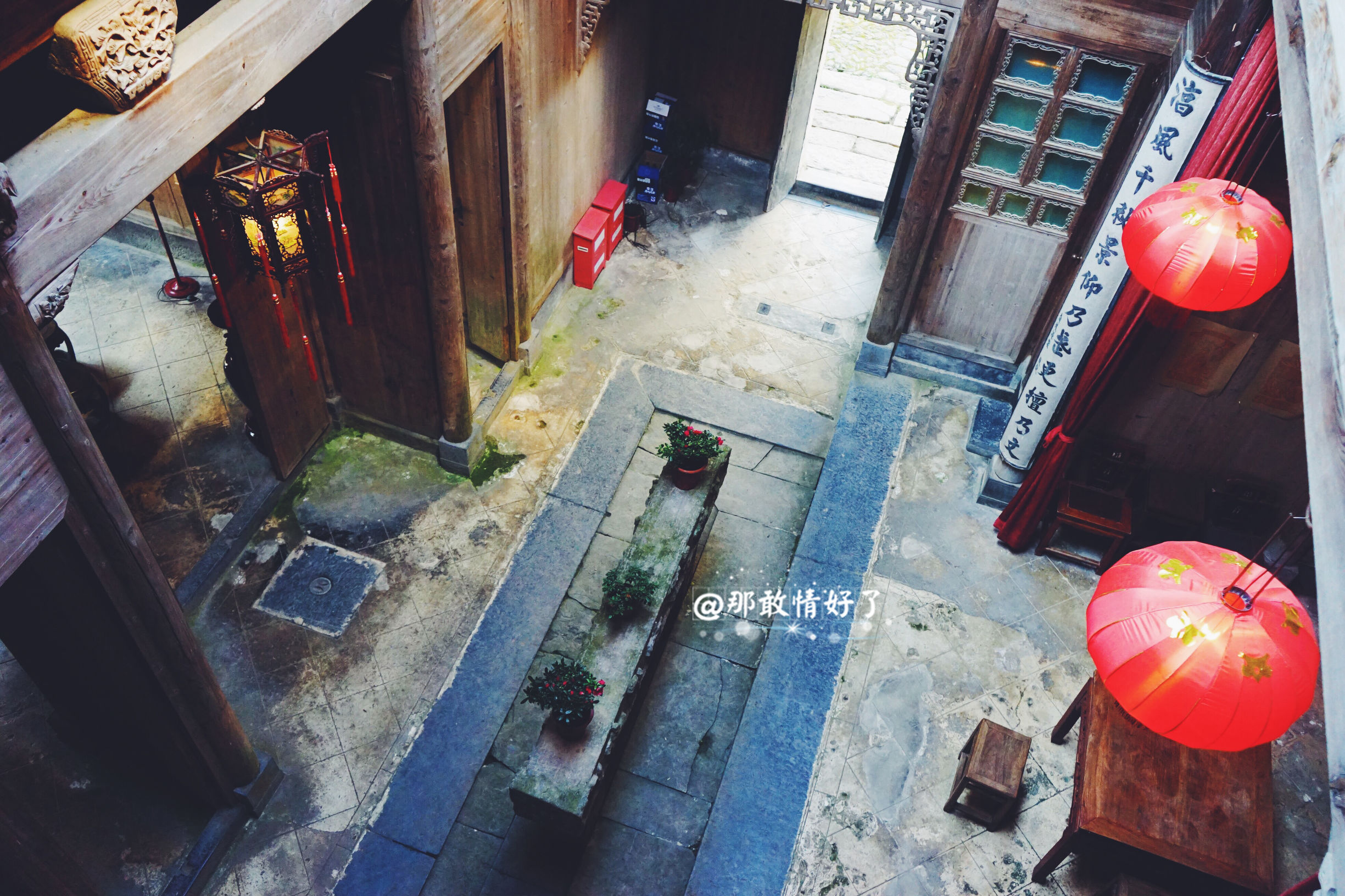 一家三口去南极旅行 (中国一家三口去南极旅游)