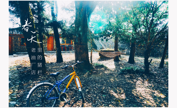 一家三口去南极旅行 (中国一家三口去南极旅游)