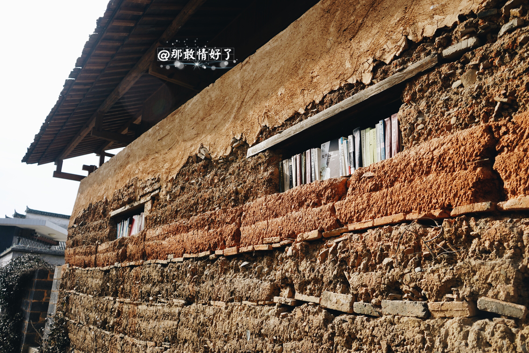 一家三口去南极旅行 (中国一家三口去南极旅游)