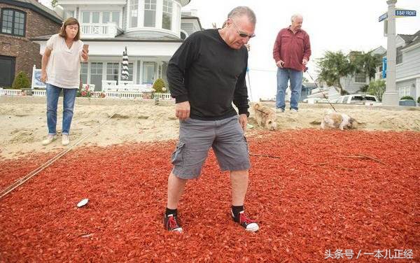 千万别“吃藕”丑，别跟我谈物种泛滥，在哥眼中你只是道菜！