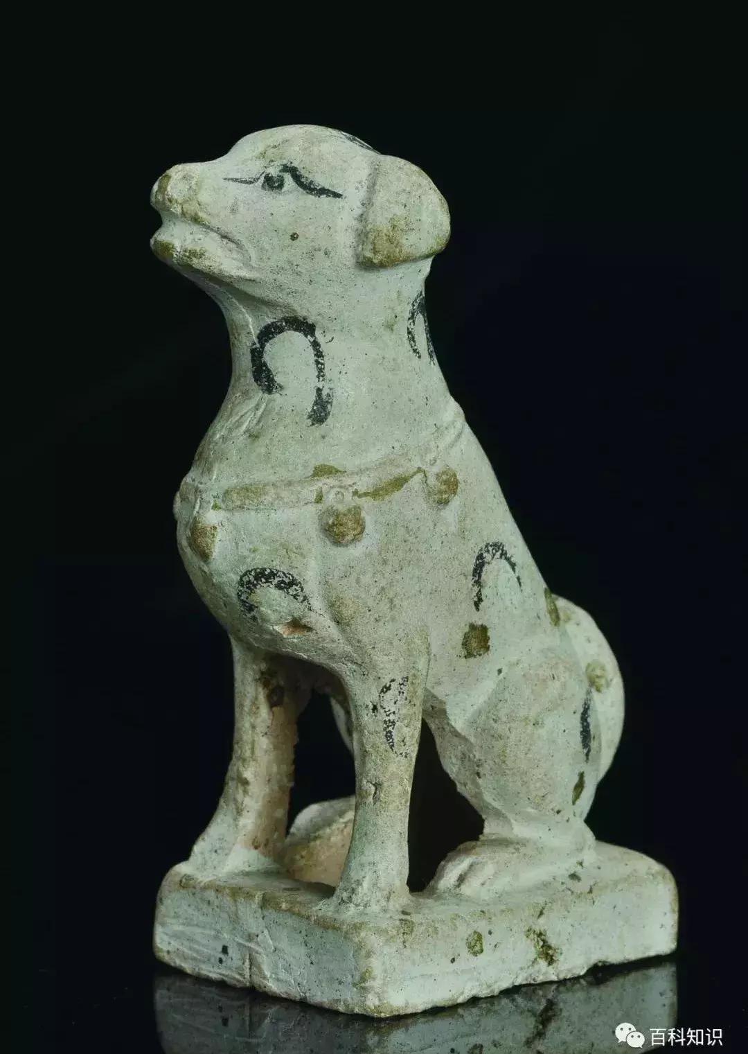 天气转暖，犬来大地报春意