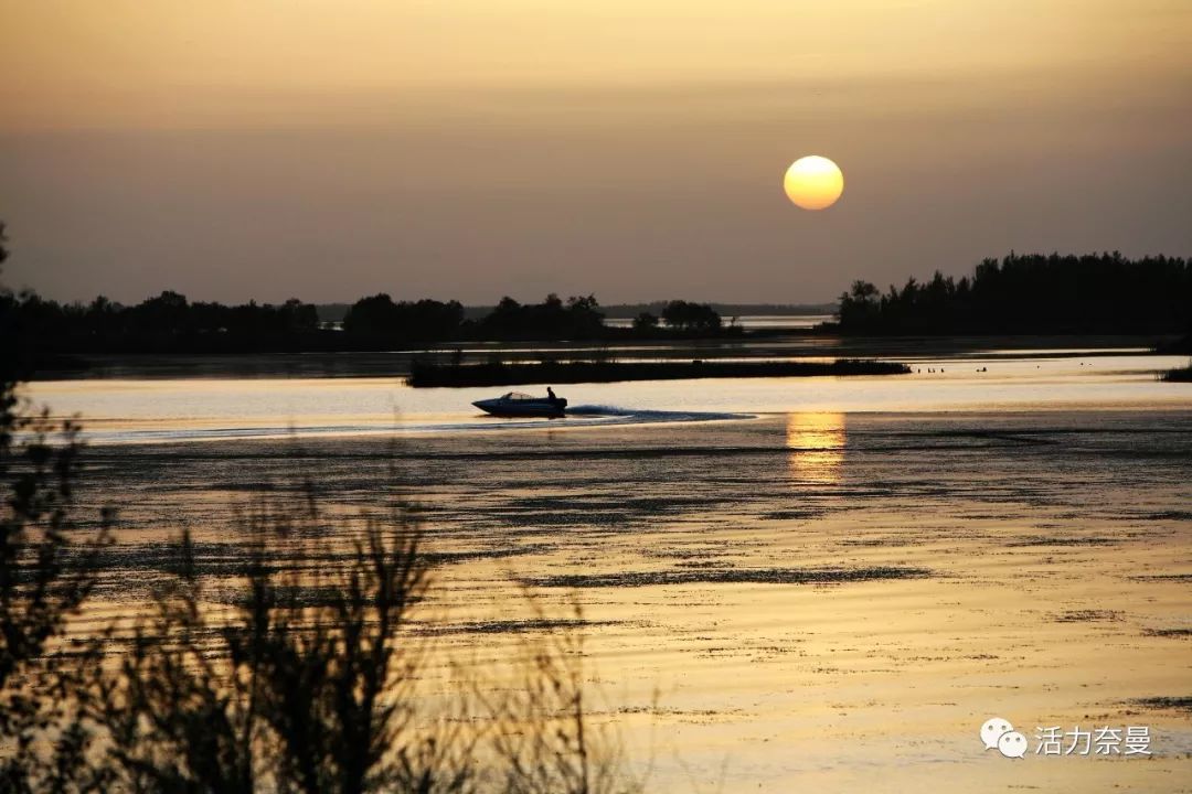 45万人的名片，太漂亮了！！《奈曼人的名片》最新版，45万次！！！精工打造！！！