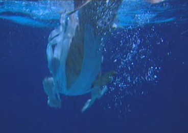 你知道都有哪些女星饰演过美人鱼吗？