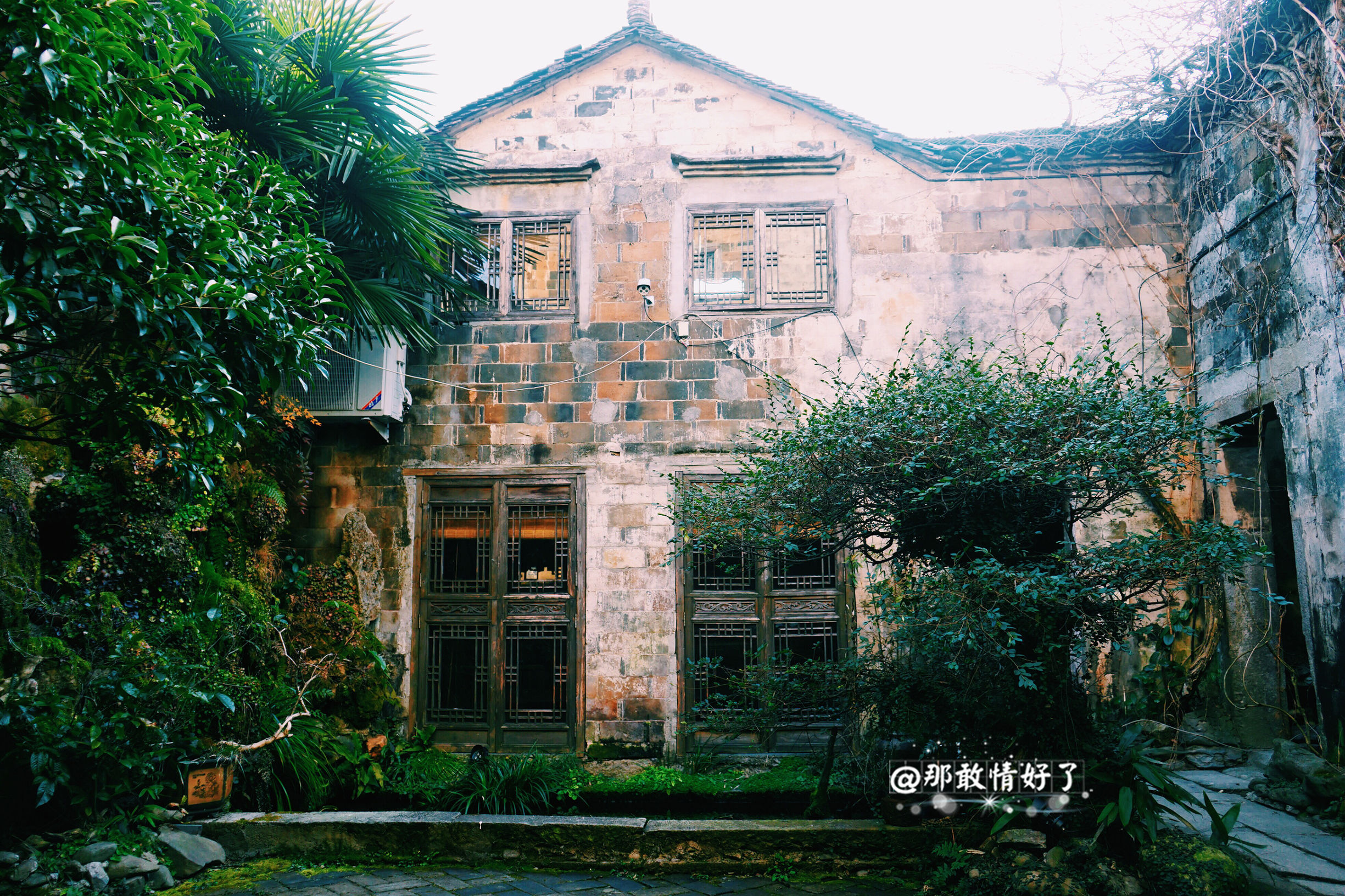 一家三口去南极旅行 (中国一家三口去南极旅游)