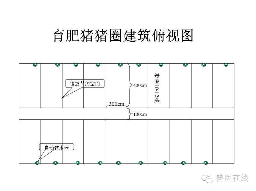 猪场刮粪机排粪沟设计图,100头母猪猪场设计图