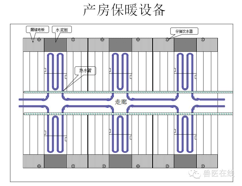 猪场刮粪机排粪沟设计图,100头母猪猪场设计图