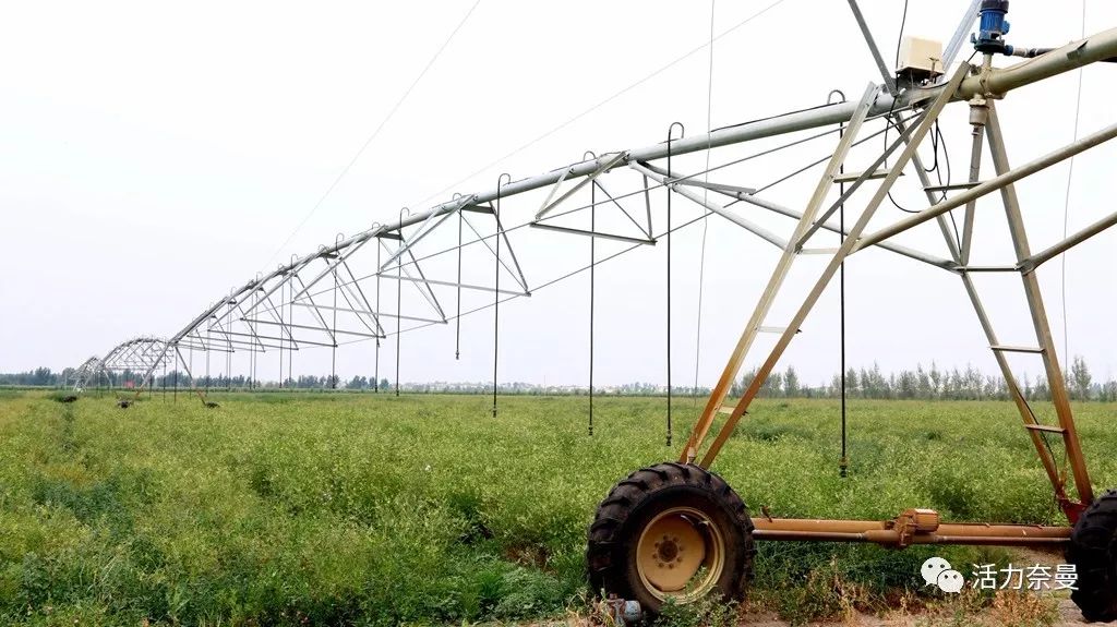 45万人的名片，太漂亮了！！《奈曼人的名片》最新版，45万次！！！精工打造！！！