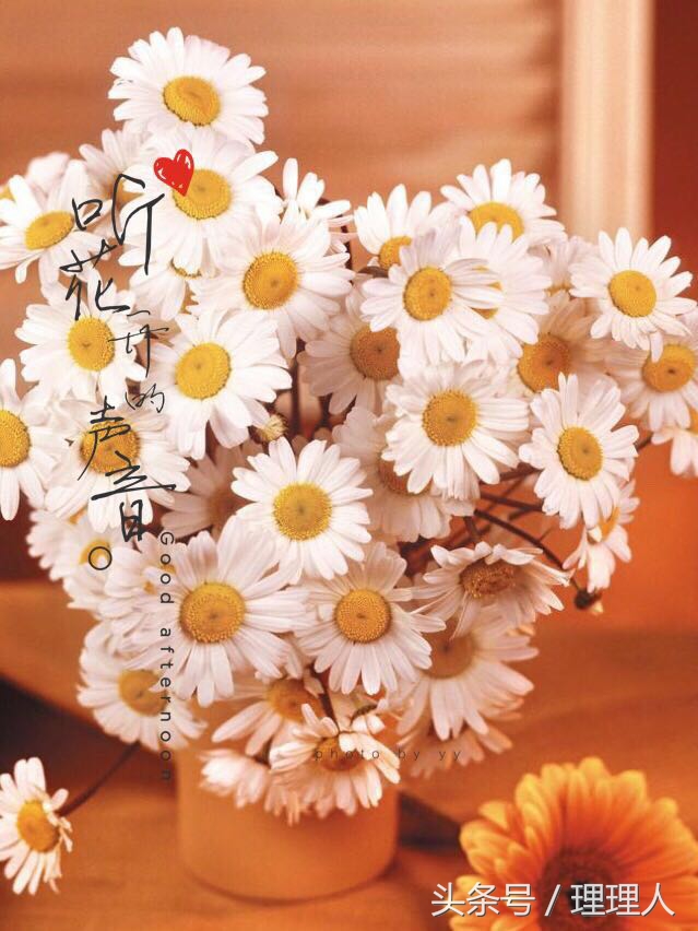 黄油相机怎么编辑竖排文字,黄油相机怎样做成文字视频