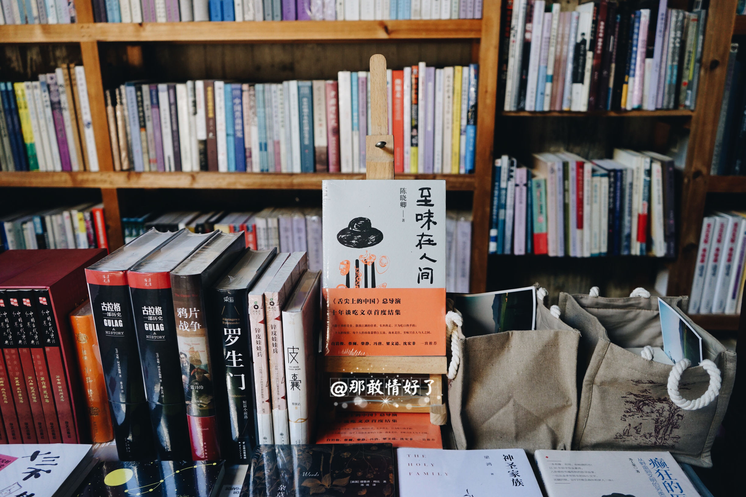 一家三口去南极旅行 (中国一家三口去南极旅游)