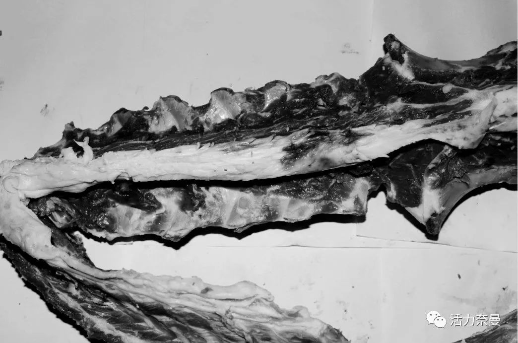 45万人的名片，太漂亮了！！《奈曼人的名片》最新版，45万次！！！精工打造！！！