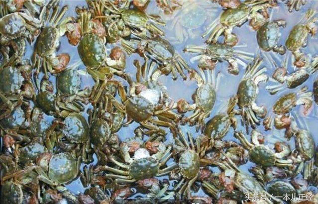 千万别“吃藕”丑，别跟我谈物种泛滥，在哥眼中你只是道菜！