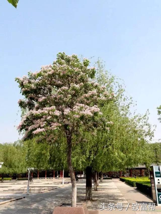 一周致富锦囊经典语录,四条致富指南请你用心收藏