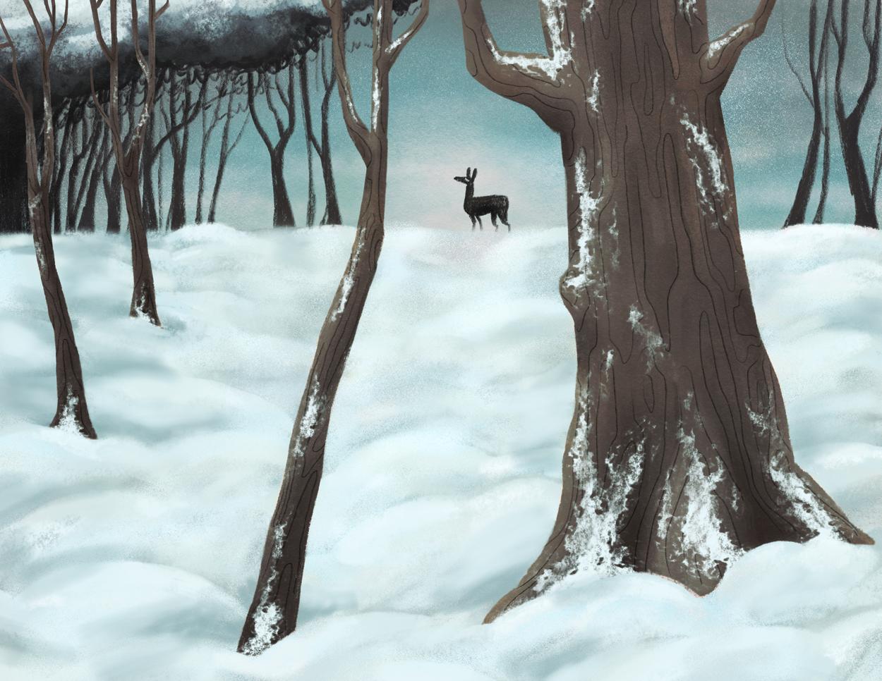 插画师hana美食插画,hannahjesus手绘插画